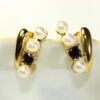 Aretes Circonia Negra