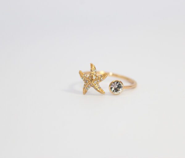 Anillo Mar