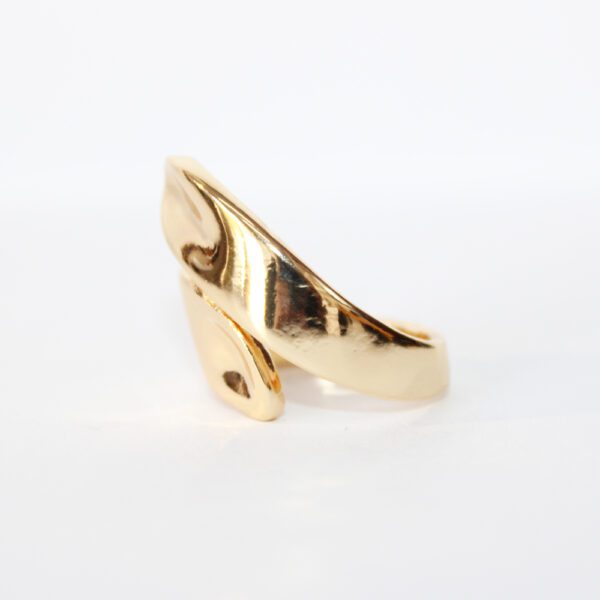 Anillo Fuerte - Image 2