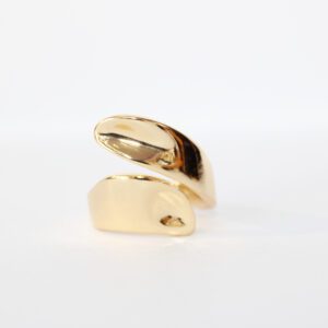 Anillo Fuerte