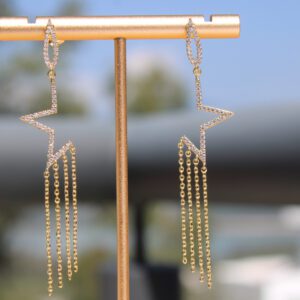 Aretes Estrella Fugaz