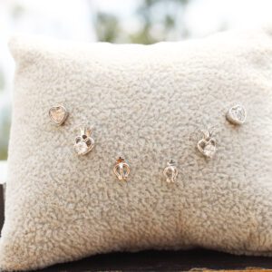 Broquel princesa Plata|Dorado