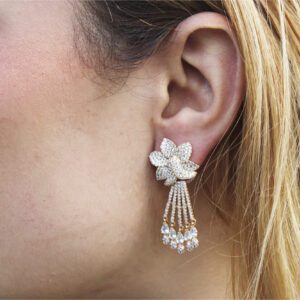 Aretes Merry